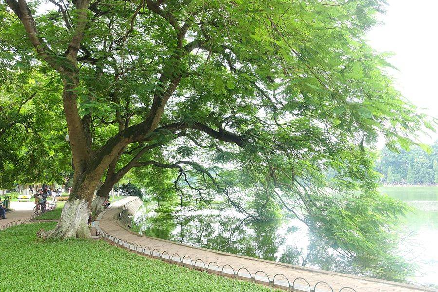 Path beside Hoan Kiem Lake in Hanoi